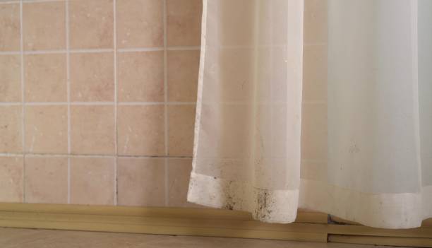 Best Attic Mold Removal  in Pinconning, MI