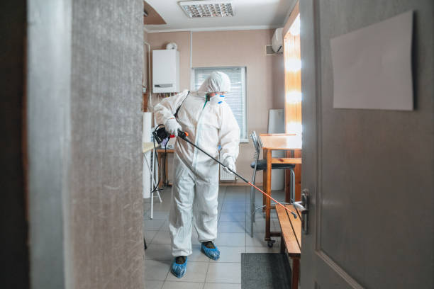 Best Forensic Mold Investigation  in Pinconning, MI