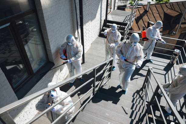 Mold Removal for HVAC Installations in Pinconning, MI