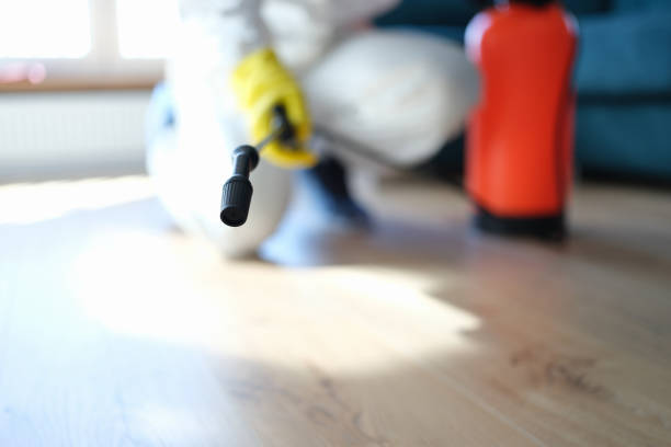 Pinconning, MI Mold Removal Company