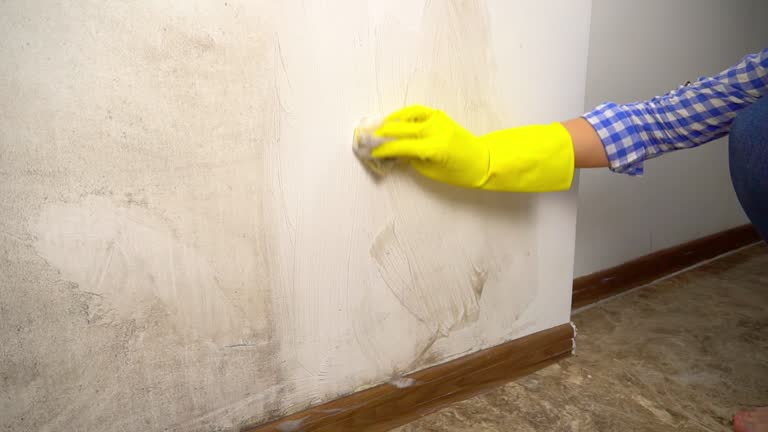 Best Biohazard Mold Removal  in Pinconning, MI