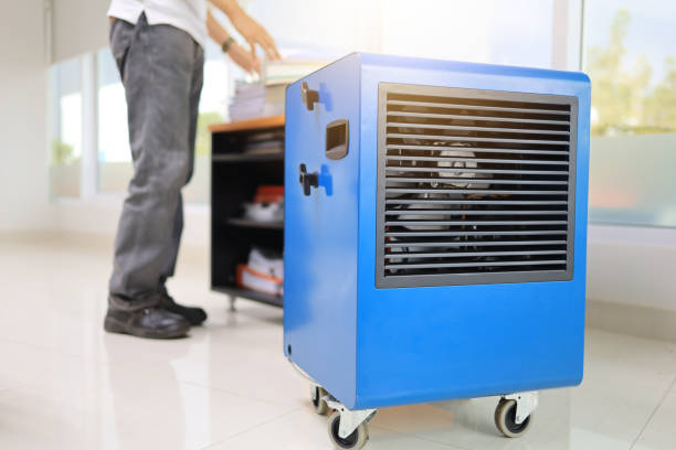 Best Black Mold Removal  in Pinconning, MI